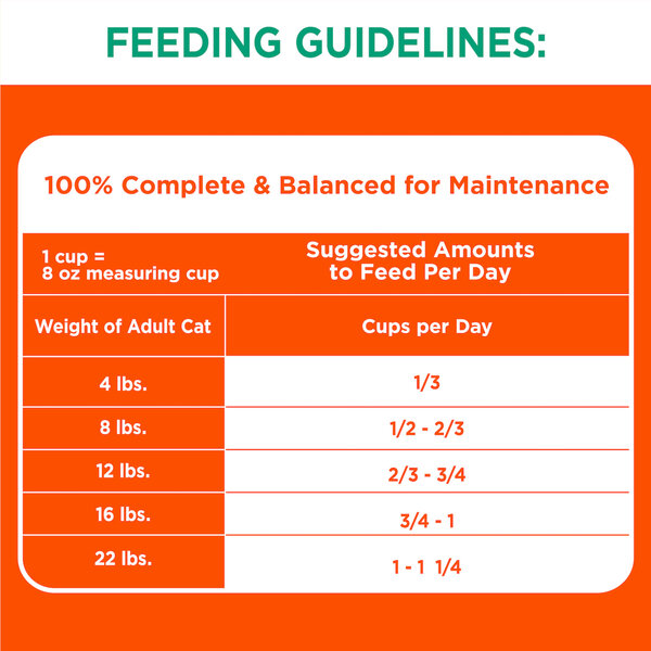 Iams shop measuring cup